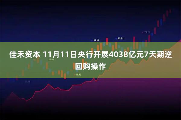 佳禾资本 11月11日央行开展4038亿元7天期逆回购操作